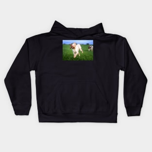 Sausage thief Spinone Kids Hoodie